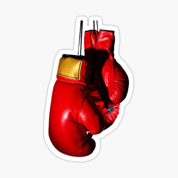 cheap boxing equipment for sale