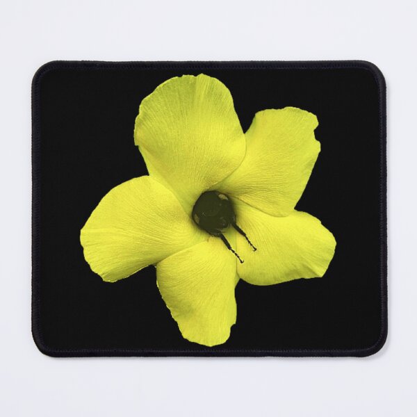 Item preview, Bumble Bee Sleeping in a Flower- Black - ORIGINAL BY SILLYFUN ON REDBUBBLE designed and sold by SillyFun.