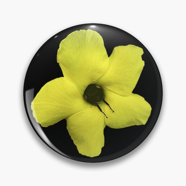 Item preview, Bumble Bee Sleeping in a Flower- Black - ORIGINAL BY SILLYFUN ON REDBUBBLE designed and sold by SillyFun.