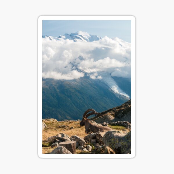 Taking in the landscapes Sticker