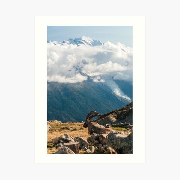 Taking in the landscapes Art Print