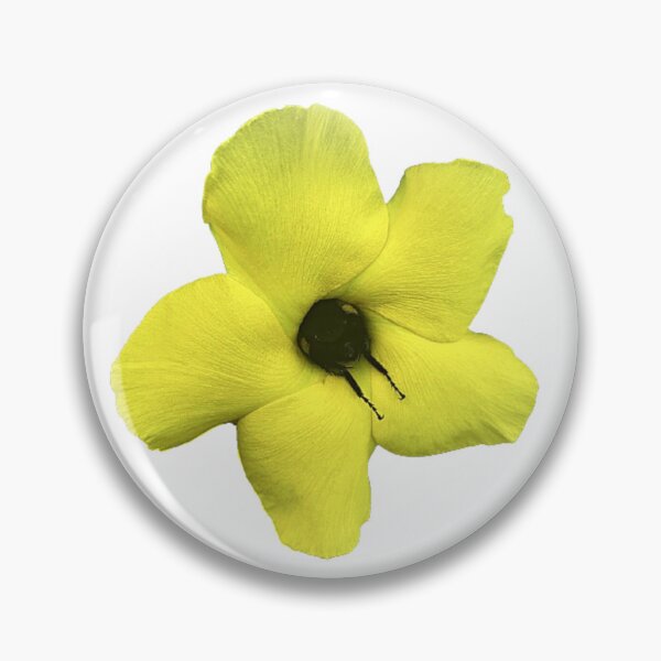 Item preview, Bumble Bee Sleeping in a Flower- White - ORIGINAL BY SILLYFUN ON REDBUBBLE designed and sold by SillyFun.
