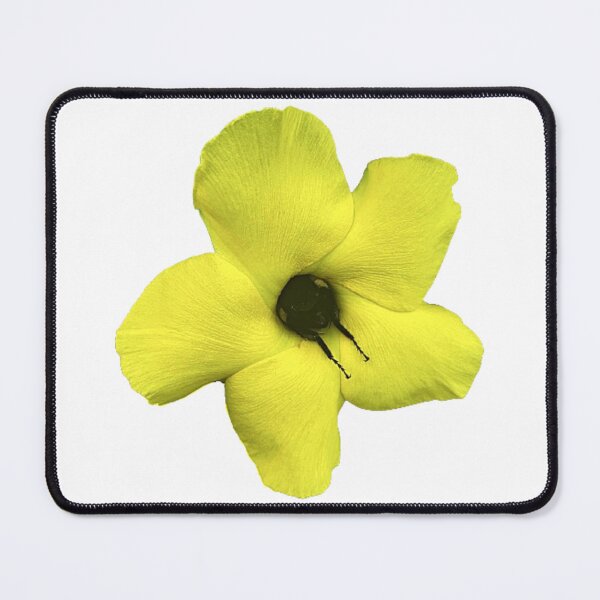 Item preview, Bumble Bee Sleeping in a Flower- White - ORIGINAL BY SILLYFUN ON REDBUBBLE designed and sold by SillyFun.