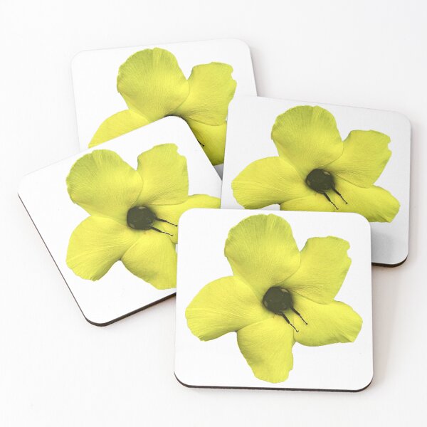 Item preview, Bumble Bee Sleeping in a Flower- White - ORIGINAL BY SILLYFUN ON REDBUBBLE designed and sold by SillyFun.