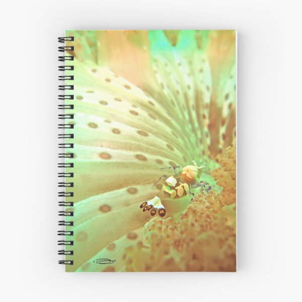 Item preview, CNIDARIAN BIOTA designed and sold by NICK COBURN PHILLIPS.
