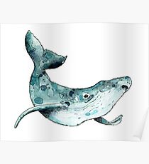 Humpback Poster