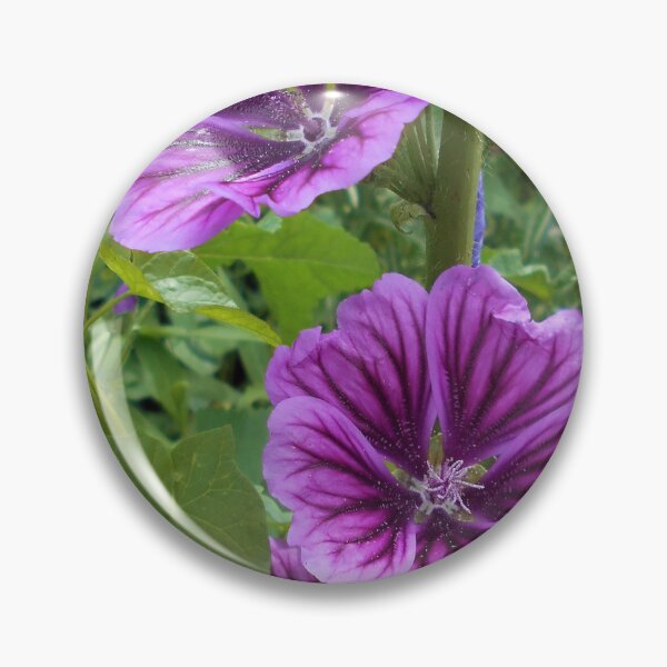 Item preview, Malva sylvestris var mauritiana designed and sold by Floral-Art.
