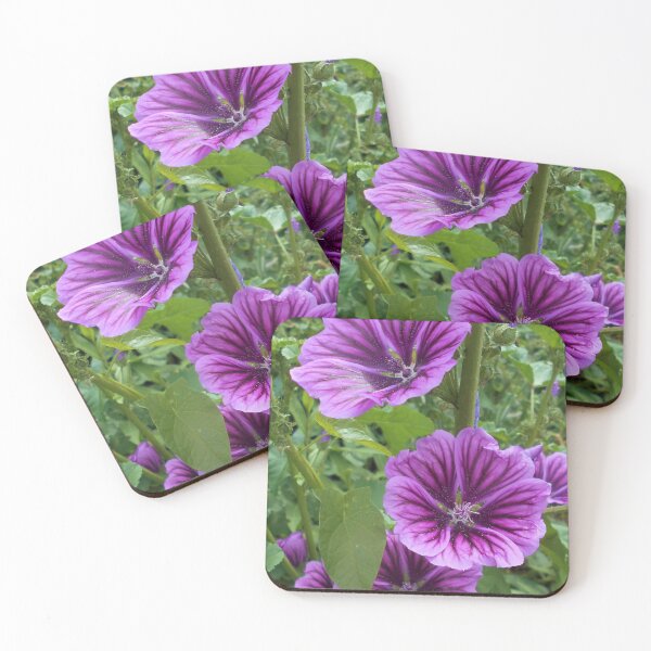 Item preview, Malva sylvestris var mauritiana designed and sold by Floral-Art.