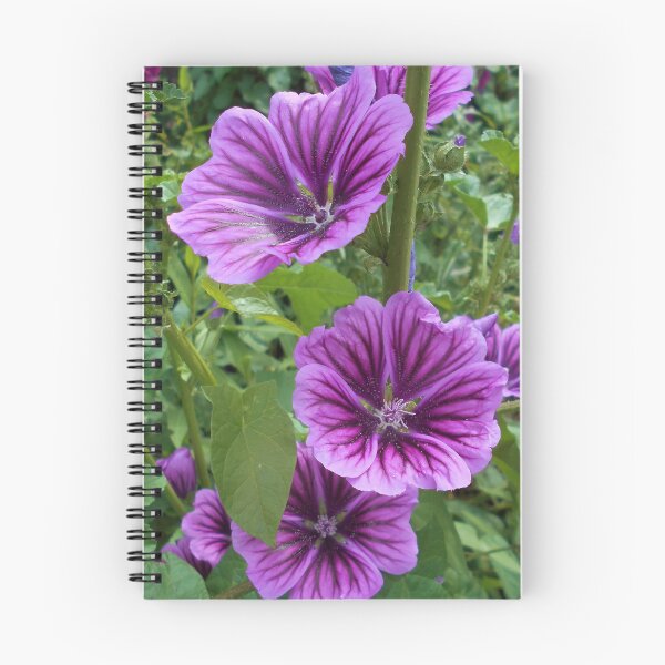 Item preview, Malva sylvestris var mauritiana designed and sold by Floral-Art.