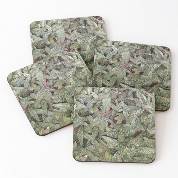 Item preview, Ledebouria socialis designed and sold by Floral-Art.