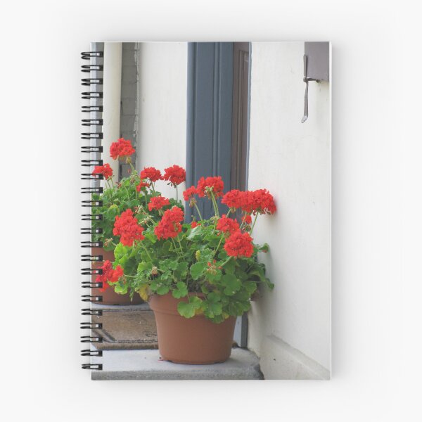 Item preview, Geraniums on the Doorstep, York PA designed and sold by Betty Mackey.