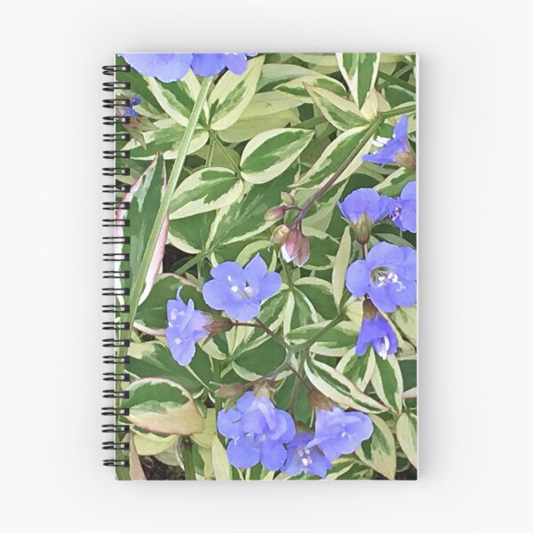 Item preview, Variegated leaves with Light Blue Flowers - Floral Photograph - Early Summer Flowers designed and sold by Ric1926.
