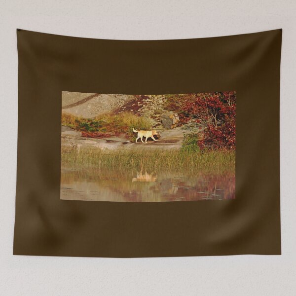 Item preview, A Golden Morning Walk designed and sold by Debbie Oppermann.