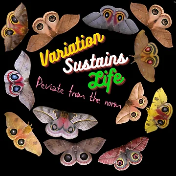 Artwork thumbnail, Moth Pattern: Be different! / Variation by Entomologist