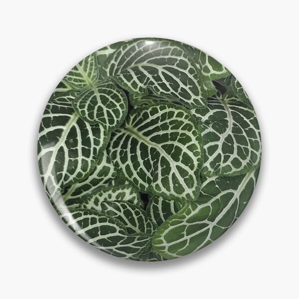 Item preview, Fittonia designed and sold by Floral-Art.