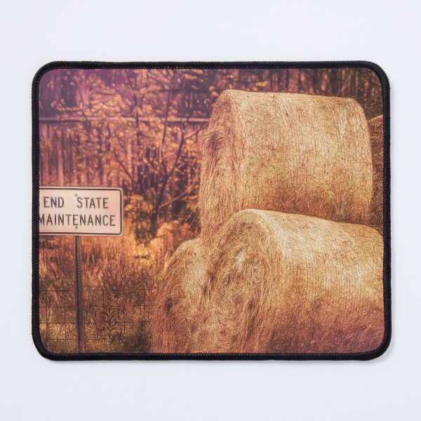 Item preview, End State Maintenance designed and sold by Jim Love.