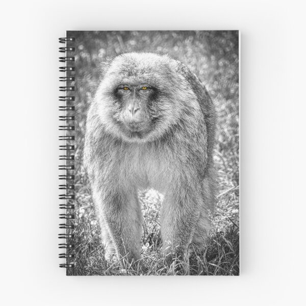 Item preview, Macaque designed and sold by EcDigitalPhoto.