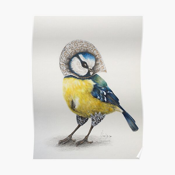 Blue tit. Póster