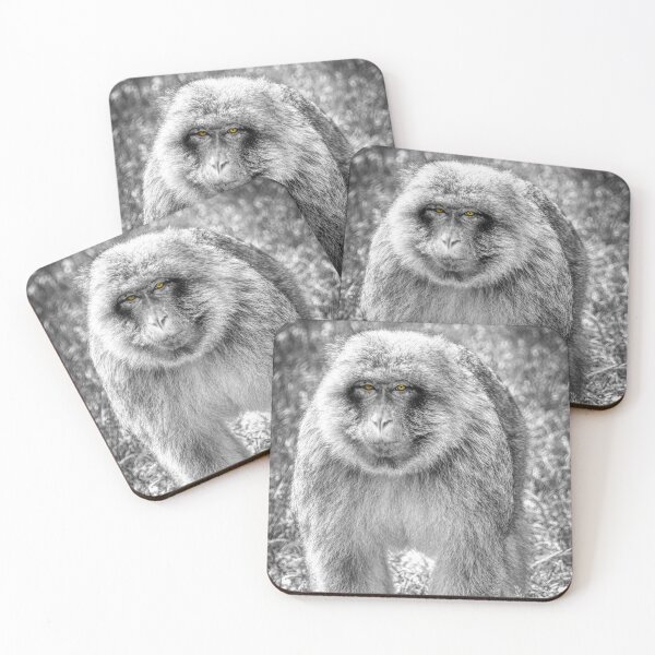 Item preview, Macaque designed and sold by EcDigitalPhoto.