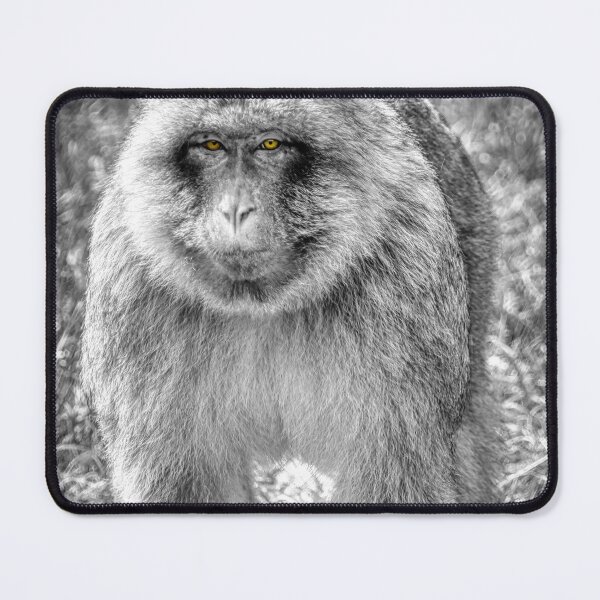Item preview, Macaque designed and sold by EcDigitalPhoto.
