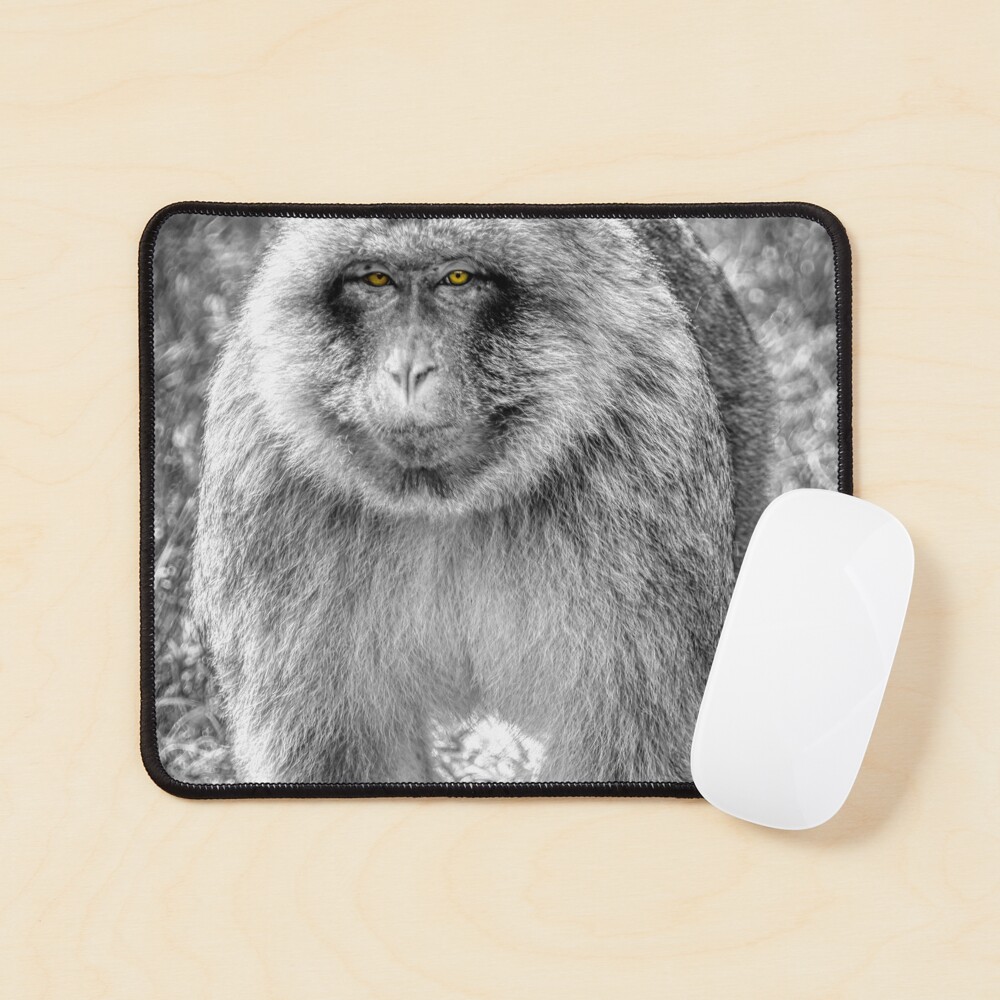 Item preview, Mouse Pad designed and sold by EcDigitalPhoto.
