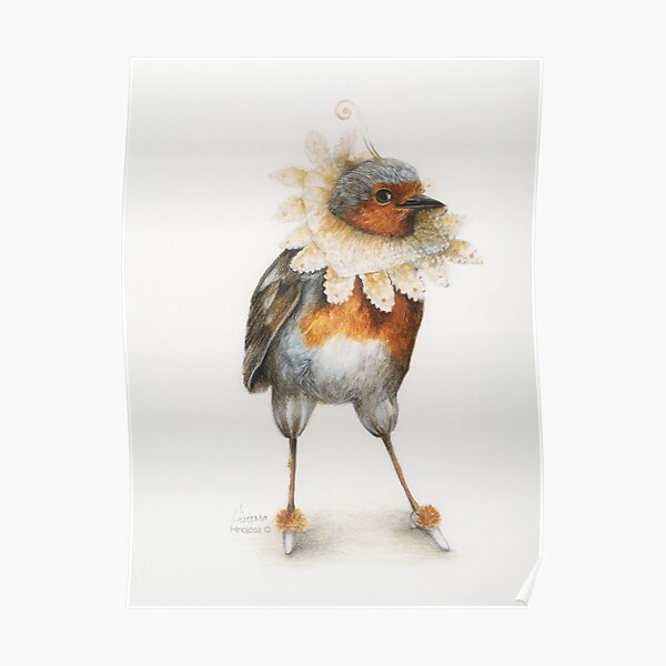 Jacobean Robin Póster
