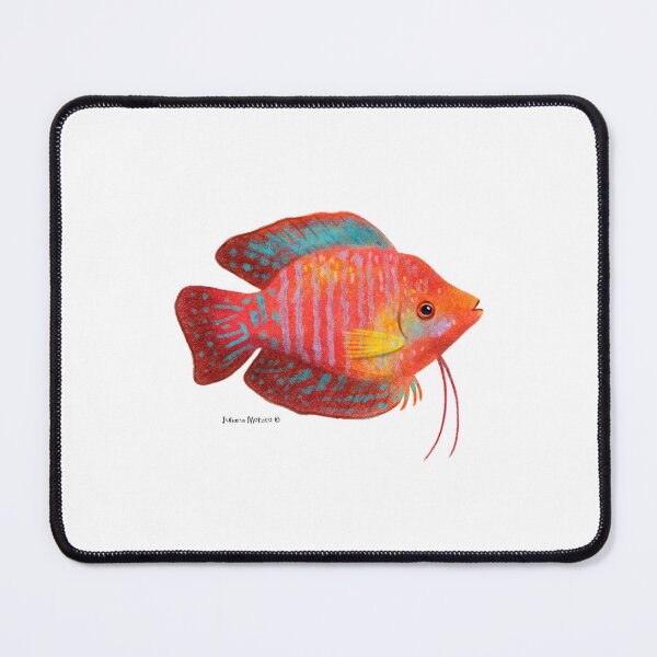 Item preview, Dwarf Gourami Fish designed and sold by julianamotzko.