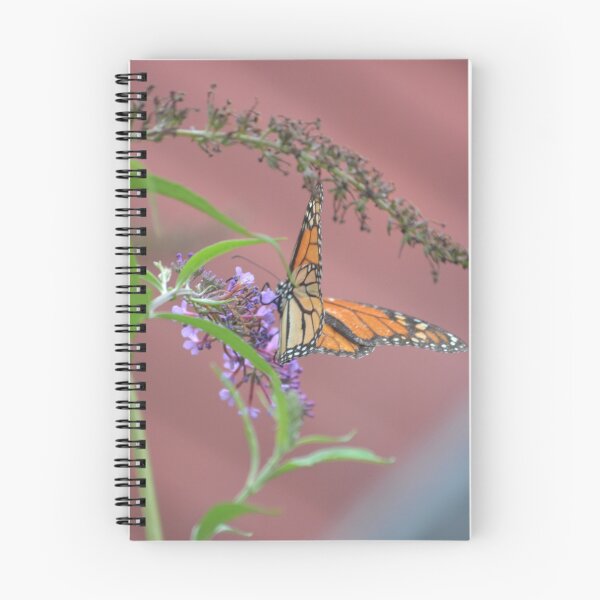 Item preview, Monarch of all it surveys designed and sold by rsommer.