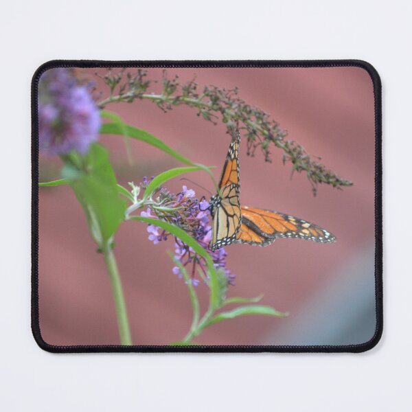 Item preview, Monarch of all it surveys designed and sold by rsommer.