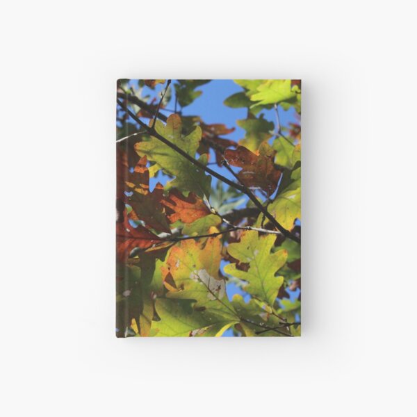 Fall Leaves Hardcover Journal
