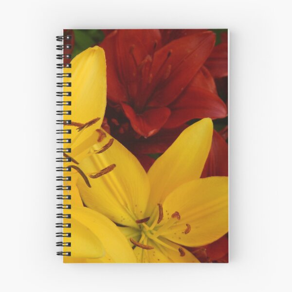 Item preview, "A Gathering of Lilies" - 2 [D4466~24] designed and sold by StudioActivo.