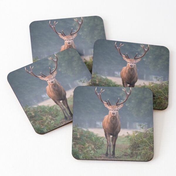 Item preview, Red deer stag designed and sold by Steve Liptrot Photography.