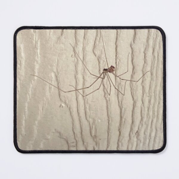 Item preview, Alistair Spider designed and sold by pinkyjainpan.