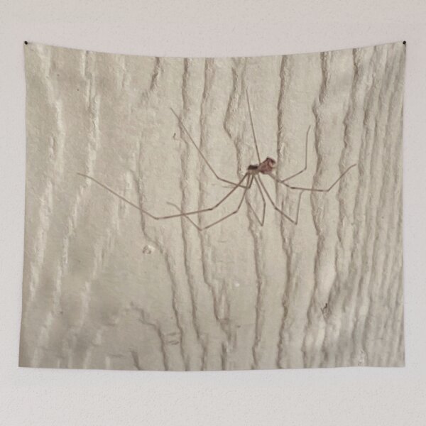 Item preview, Alistair Spider designed and sold by pinkyjainpan.