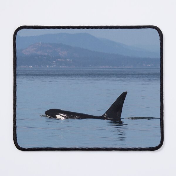 Item preview, Stanley designed and sold by Jacquelie.