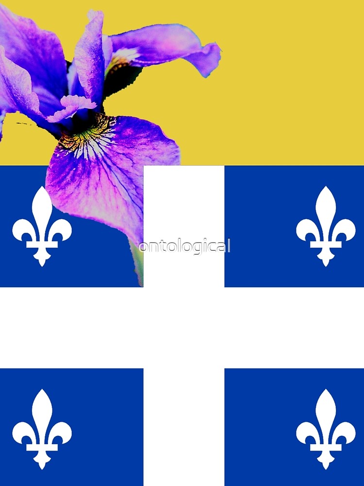 Thumbnail 3 of 3, Scarf, Quebec  designed and sold by ontological.
