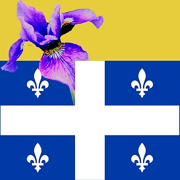 Artwork thumbnail, Quebec by ontological