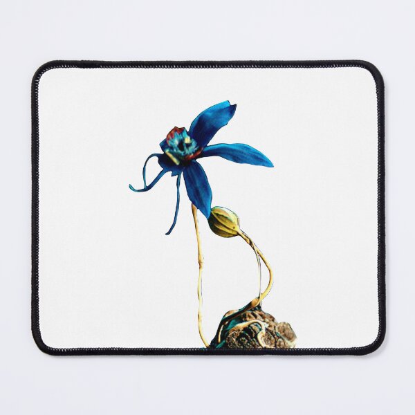 Item preview, Little women - 작은 아씨들 - korean drama designed and sold by SaraDarwish.