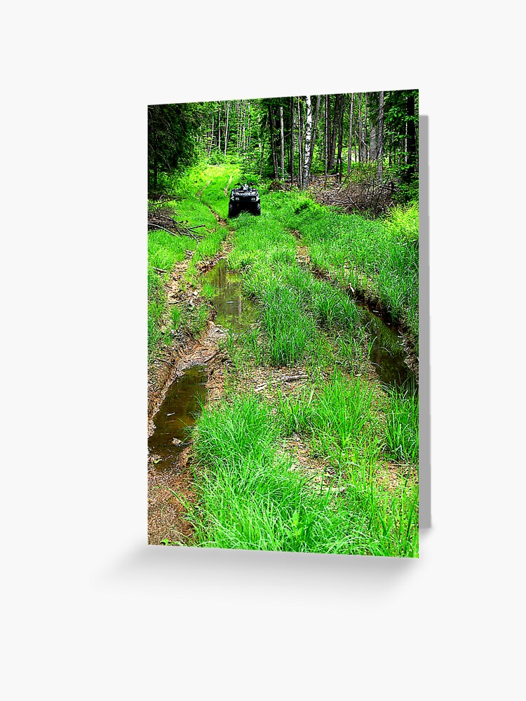 Thumbnail 1 of 2, Greeting Card, Showdown In The Forest designed and sold by alvinsan9.