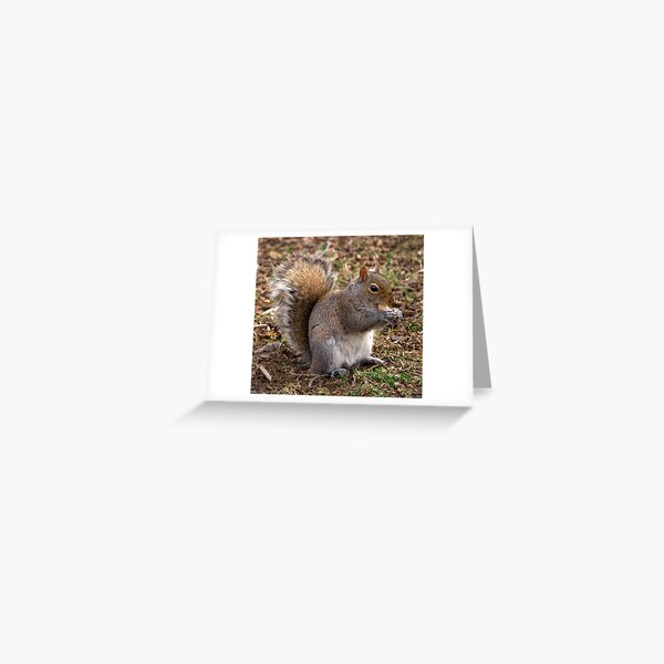 My Peanut Greeting Card