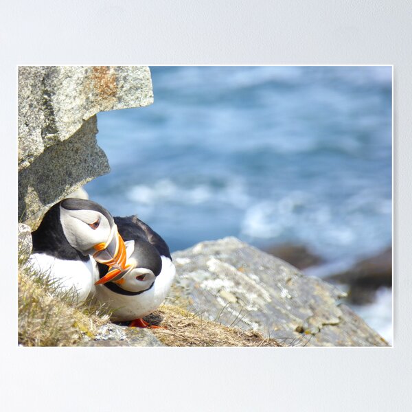 Item preview, Puffin Pair designed and sold by DreaminReality.