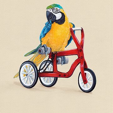 Artwork thumbnail, Parrot Macaw bike red by Ruta