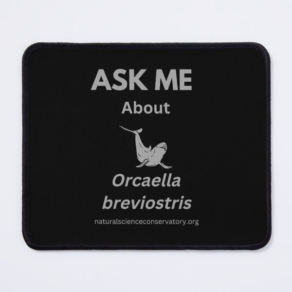 Item preview, Ask Me About Orcaella brevirostris (Irrawaddy Dolphin) designed and sold by Discovered.