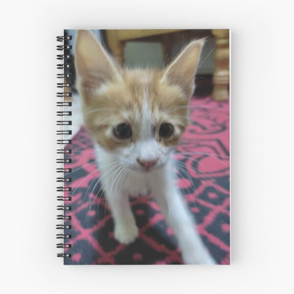 Item preview, cat step designed and sold by aissa003.