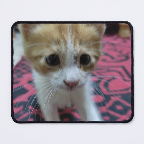 Item preview, cat step designed and sold by aissa003.