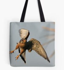 Common Kestrel Tote Bag