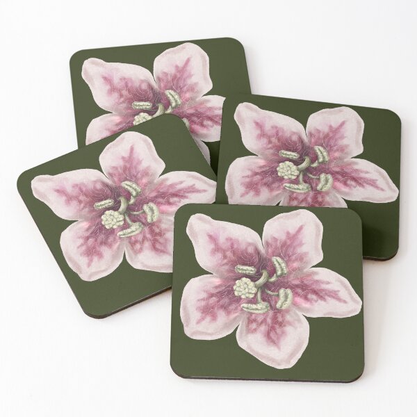 Item preview, Twinflower Bloom Upclose designed and sold by Nick Garnhart.