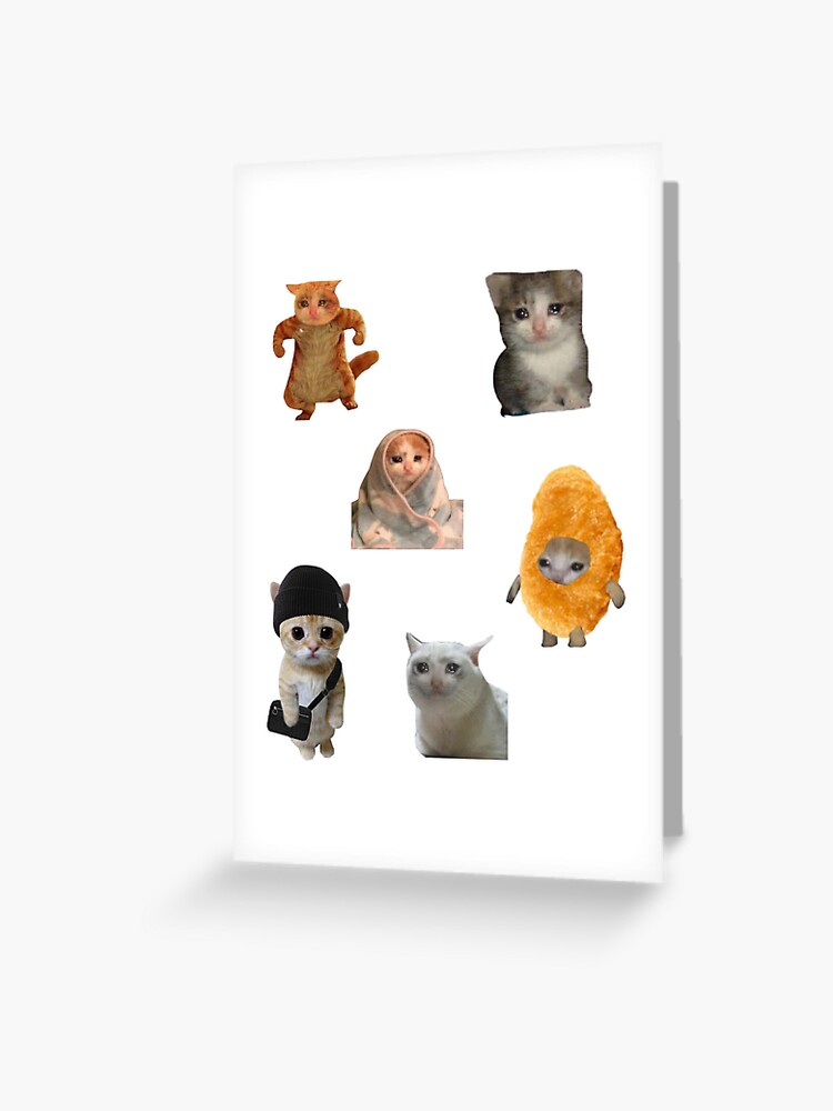 Crying Cat Pack, Pack of 6 Meme Crying Cat , for cat lovers, meme lovers |  Greeting Card