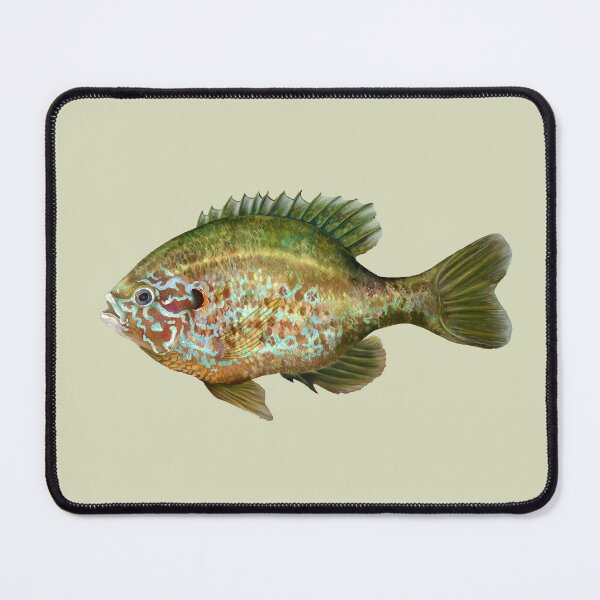 Item preview, Pumpkinseed Fish designed and sold by Nick Garnhart.