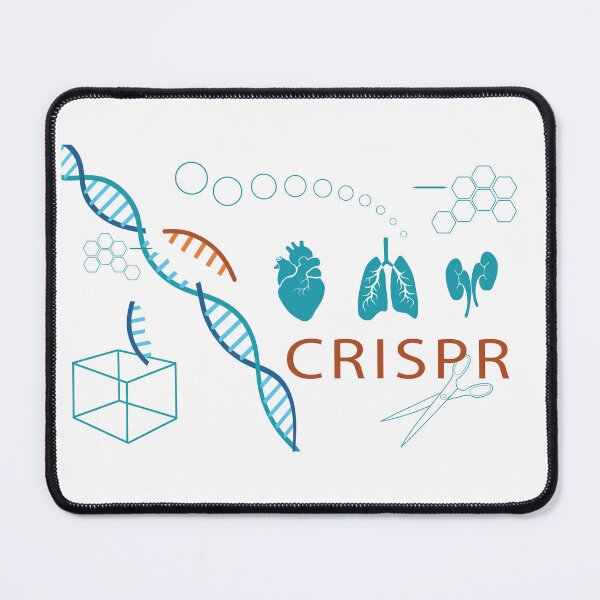 Item preview, CRISPR Colorful Graphic, DNA, Scissors, heart, lungs, kidneys  designed and sold by ScienceSource.